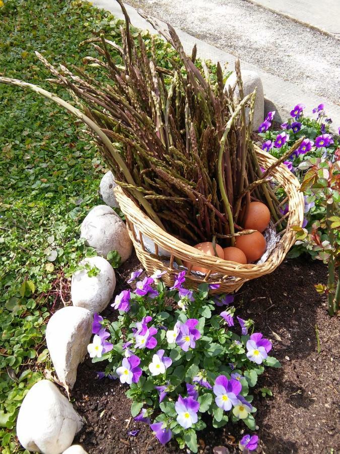 Apartman Nevia Holiday Home Ciritez Kültér fotó